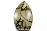 Free-Standing Polished Septarian - Madagascar #361967-1